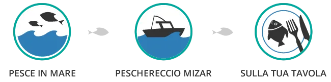 Pescato Fresco MIZAR Pescato Fresco MIZAR